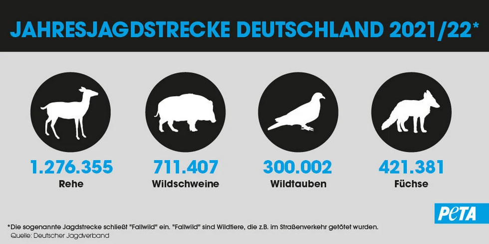 statistiken-jagd