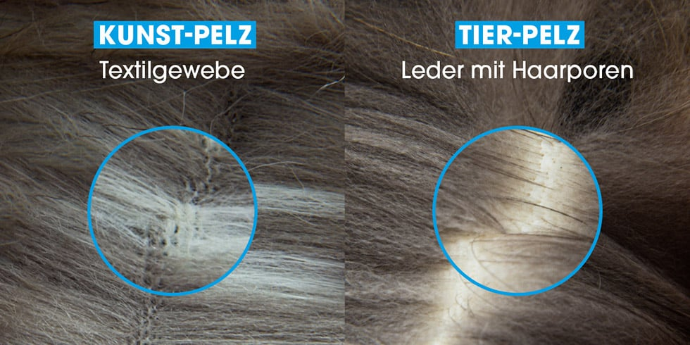 Kleidung und andere Gegenstände